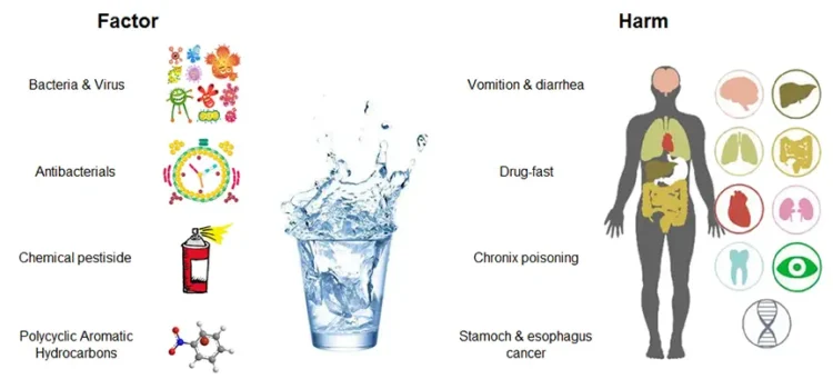 Water quality testing